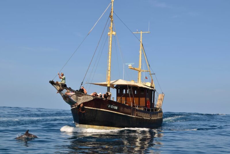 La Palma: 4-Hour Coastline Cruise With Tapas and Barbecue - Swim and Snorkel Stop