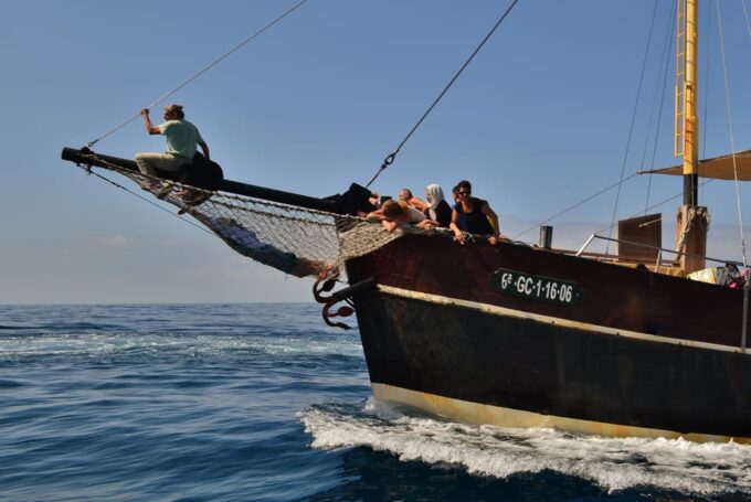 La Palma: 4-Hour Coastline Cruise With Tapas and Barbecue - Accessibility and Languages
