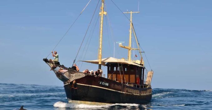 La Palma: 4-Hour Coastline Cruise With Tapas and Barbecue - Frequently Asked Questions
