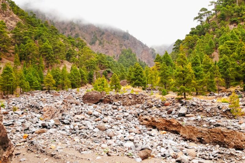 La Palma: Caldera De Taburiente National Park Guided Hike - Itinerary and Experience