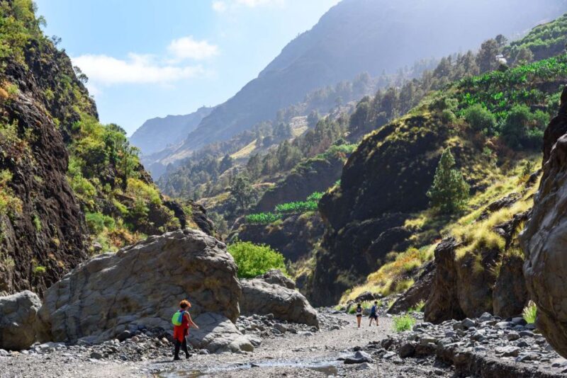 La Palma: Caldera De Taburiente National Park Guided Hike - Customer Reviews and Ratings