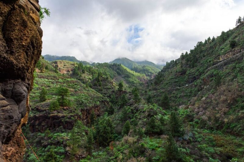 La Palma: Candelaria Gorge Hiking Tour - Customer Reviews and Feedback