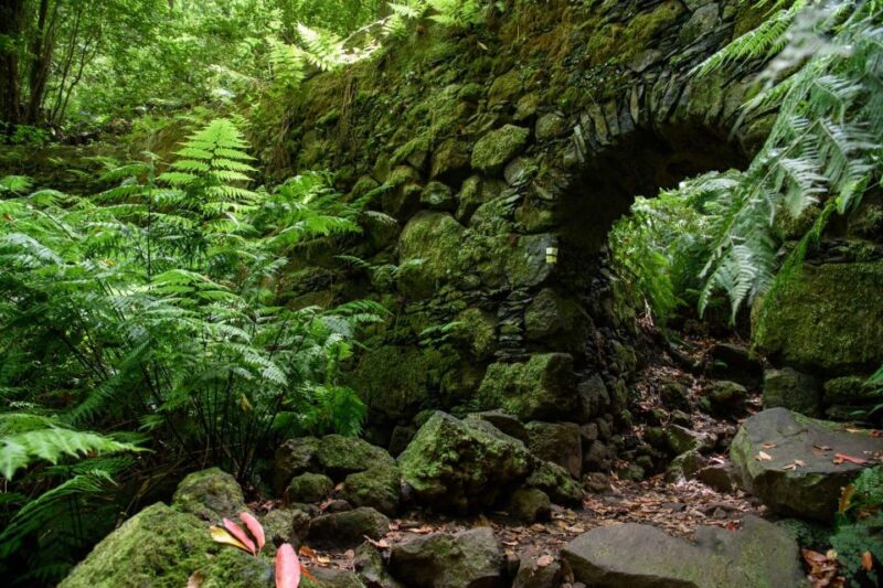 La Palma: Cubo De La Galga (Trekking Tour) - Frequently Asked Questions