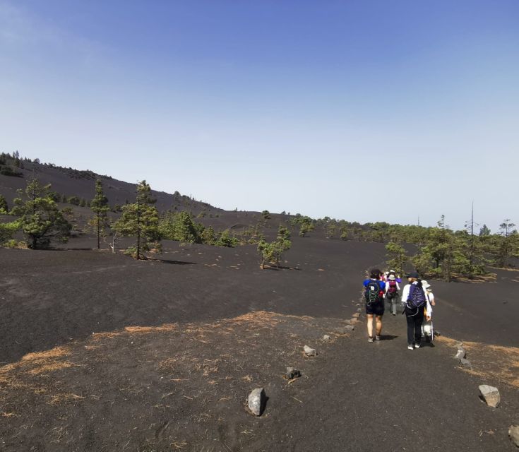 La Palma: Guided Tour to Tajogaite Volcano With Transfer - Key Points