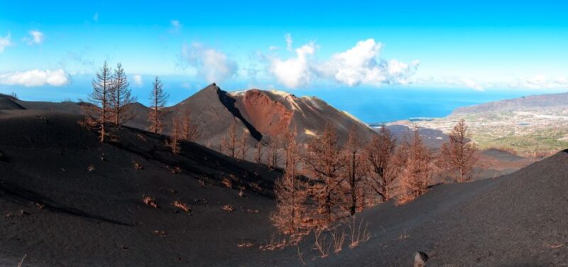 La Palma: Guided Tour to Tajogaite Volcano With Transfer - Itinerary and Experience