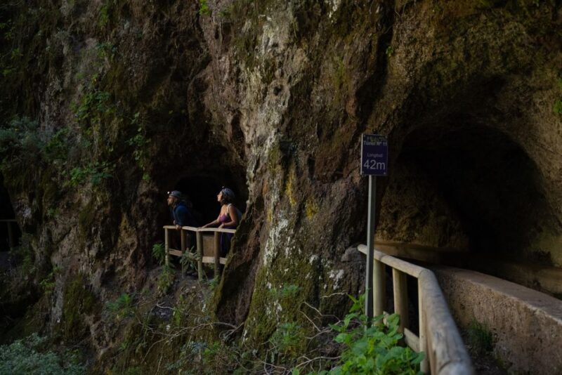 La Palma: Guided Trekking Tour Springs Marcos Y Cordero - Key Points
