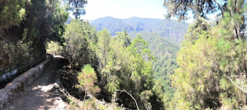 La Palma: Guided Trekking Tour Springs Marcos Y Cordero - Experience Highlights