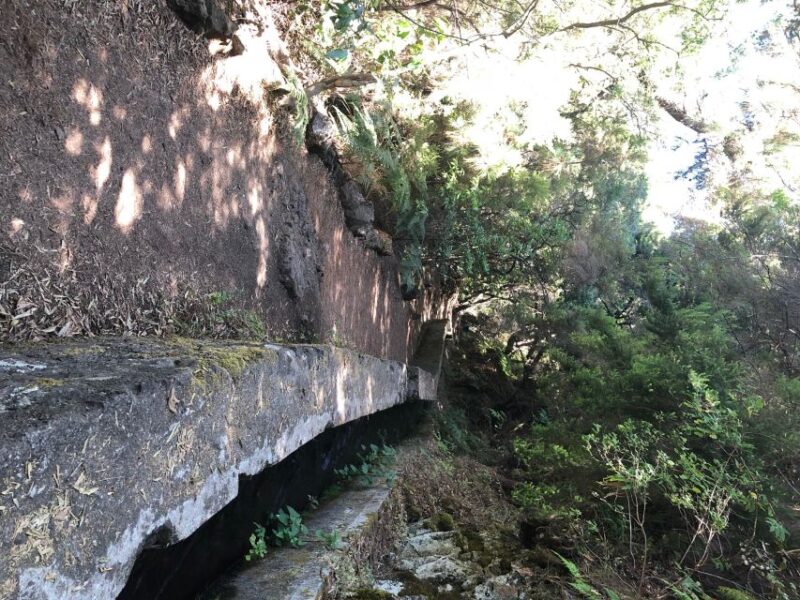La Palma: Guided Trekking Tour Springs Marcos Y Cordero - Tour Duration and Pace