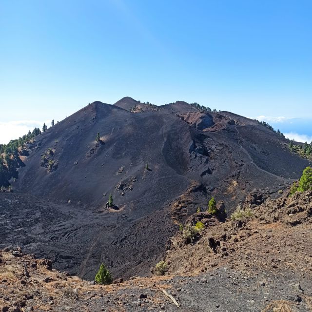 La Palma: Guided Trekking Tour to Volcanoes South - Experience Highlights