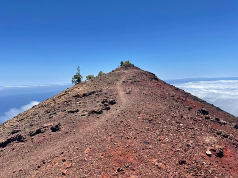 La Palma: Guided Trekking Tour to Volcanoes South - Customer Feedback