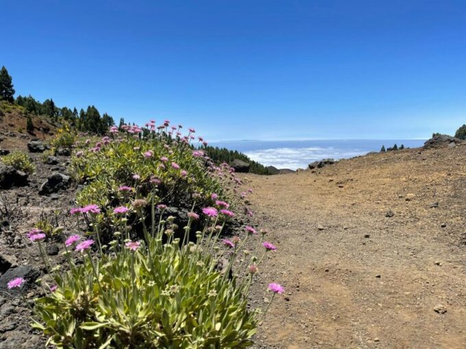 La Palma: Guided Trekking Tour to Volcanoes South - Recap