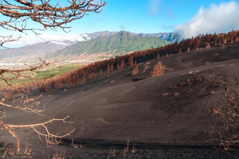La Palma: Guided Volcano Trekking Tour - Booking Options