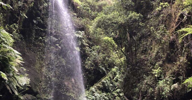 La Palma: North Island Bus Tour With Ron Aldea Distillery - Key Points