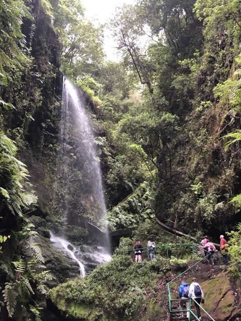 La Palma: North Island Bus Tour With Ron Aldea Distillery - Itinerary Highlights