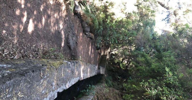 La Palma: Return Bus Transfer to Marcos Y Cordero Springs - Key Points