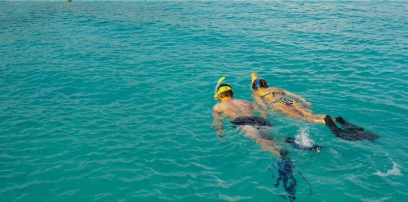 La Palma: Snorkeling Tour in Los Cancajos - Key Points