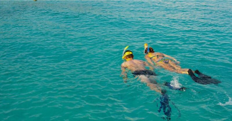La Palma: Snorkeling Tour in Los Cancajos - Booking Information