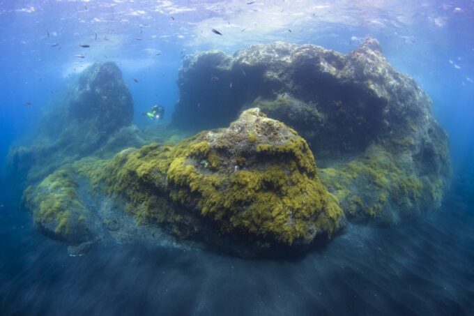 La Palma: SSI Try Scuba Program - Cancellation and Payment
