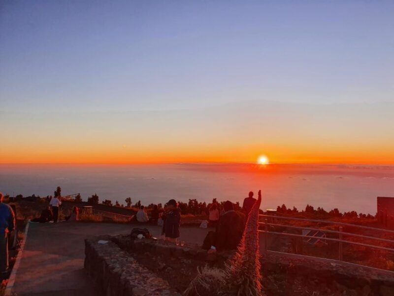 La Palma: Stargazing Tour With Wine and Hotel Transfer - Language Options