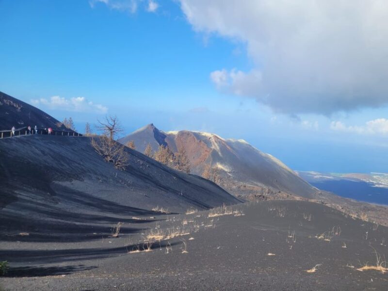 La Palma: Tajogaite Volcano Guided Hike - Inclusions