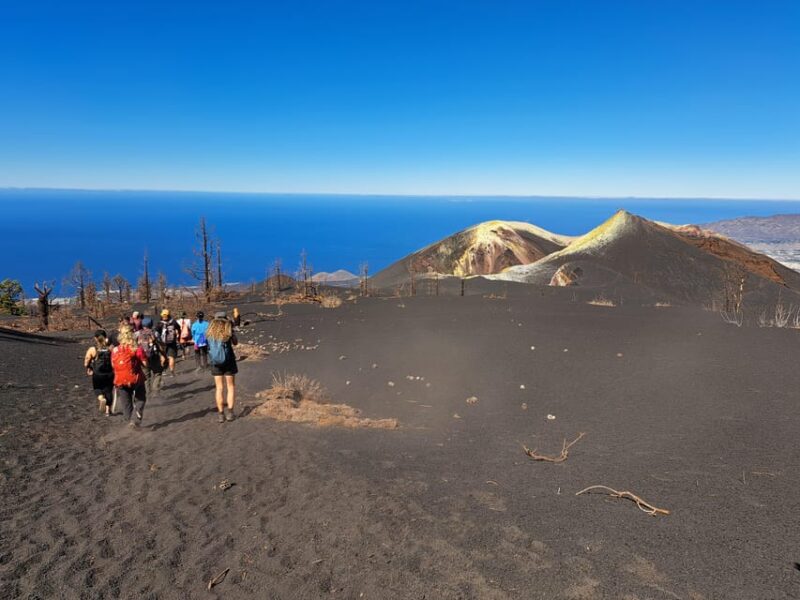 La Palma: Tajogaite Volcano Guided Trek - Key Highlights