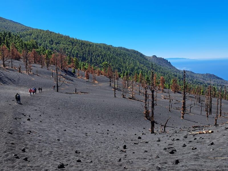 La Palma: Tajogaite Volcano Guided Trek - Itinerary and Locations