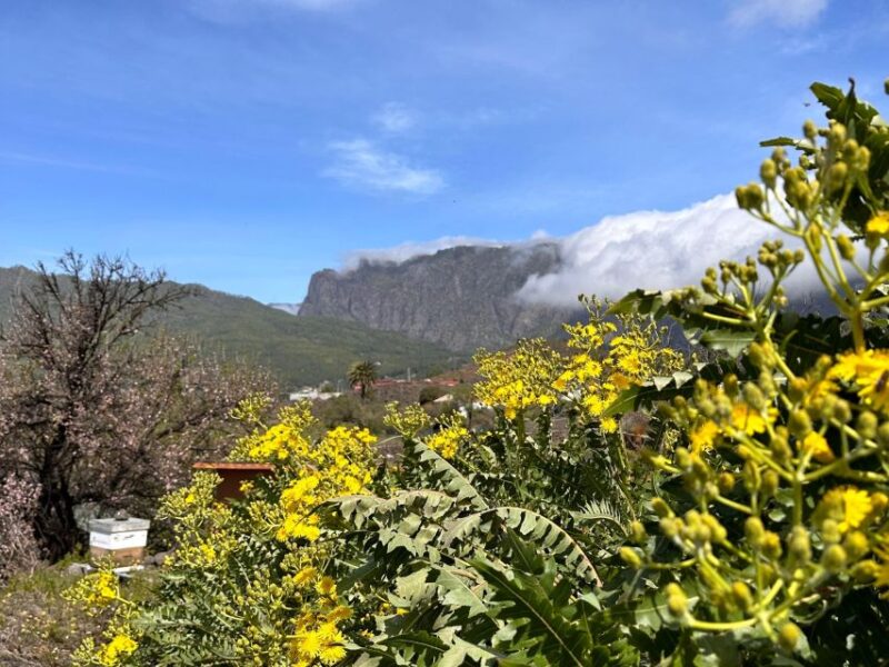 La Palma: Tour of an Ecological Farm With Animals & Tasting - Tasting Experience