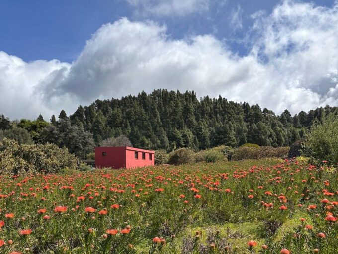 La Palma: Tour of an Ecological Farm With Animals & Tasting - Seasonal Produce