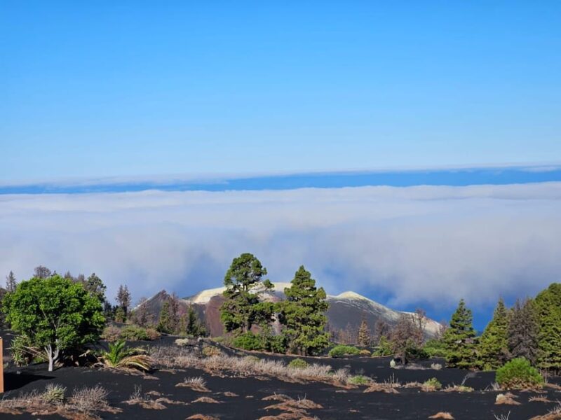 La Palma: Tour to the New Tajogaite Volcano 360º. - Transportation and Amenities