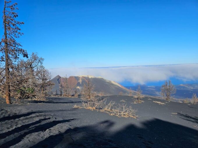 La Palma: Tour to the New Tajogaite Volcano 360º. - Customer Feedback