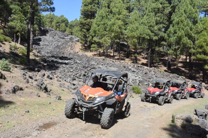 La Palma: Volcano Route Buggy Tour - Routes and Weather Considerations