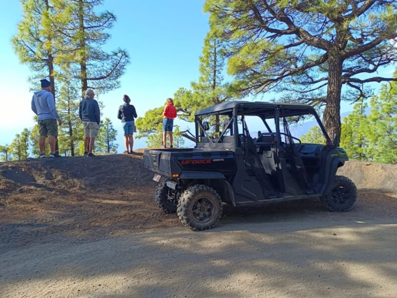 La Palma: Volcano Route Buggy Tour - Booking and Exclusions
