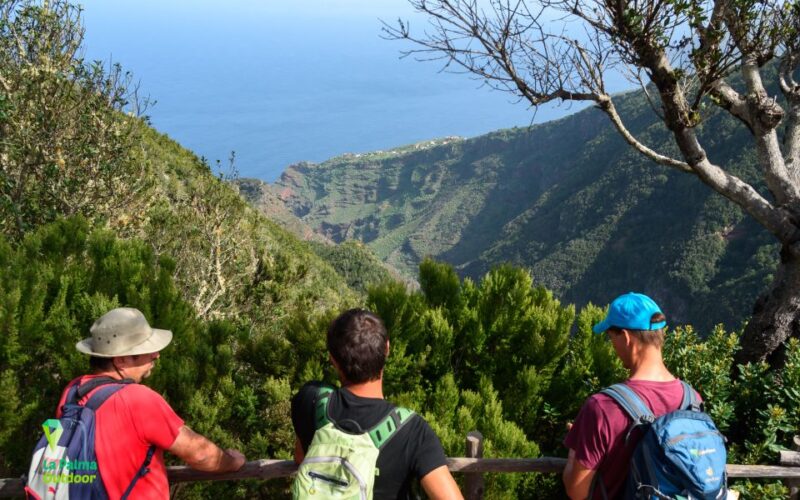 La Palma: Zarza Archaeological Park Guided Trek - Tour Details
