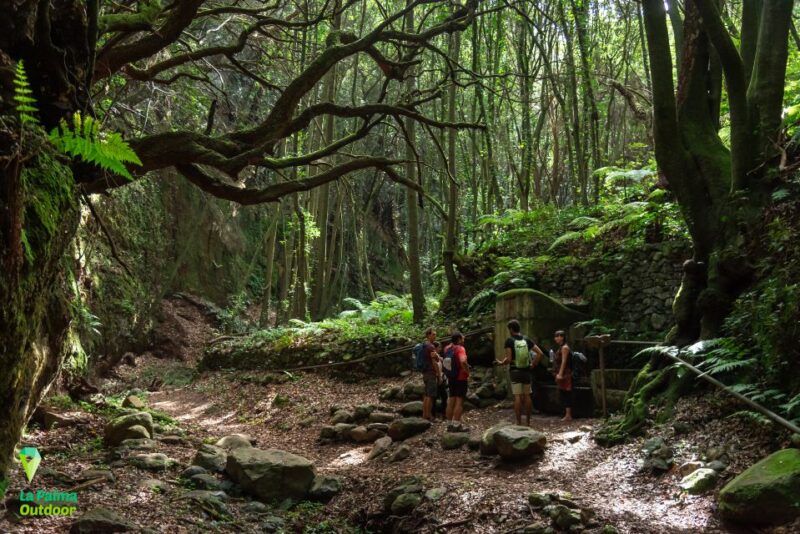 La Palma: Zarza Archaeological Park Guided Trek - Frequently Asked Questions