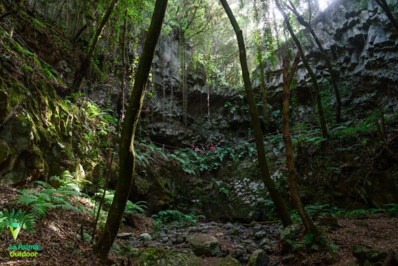 La Palma: Zarza Archaeological Park Guided Trek - Recap