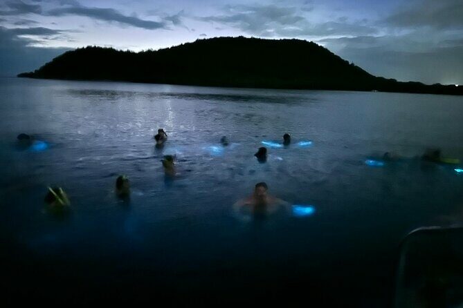 La Parguera Bio Bay Boat Ride and Swimming w/ San Juan Transport - Who Would Enjoy This Experience?