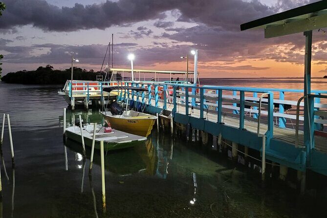 La Parguera Bio Bay Boat Ride and Swimming w/ San Juan Transport - Final Thoughts