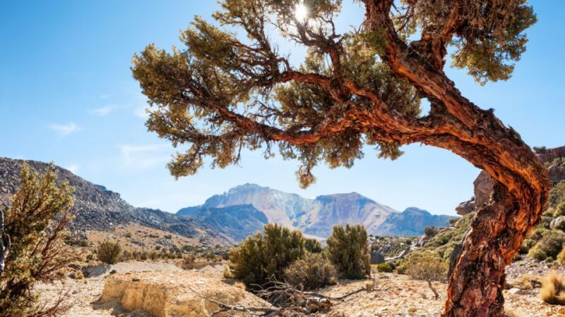 La Paz: 1-Day Uyuni Salt Flats Tour by Flight With Hotel - Flight and Transportation
