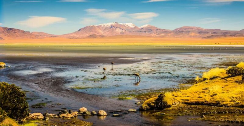La Paz: 3-Day Tour to the Salar De Uyuni and San Pedro De Atacama - Itinerary Highlights