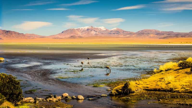 La Paz: 3 Day Tour to the Salar De Uyuni and San Pedro De Atacama - Itinerary Highlights