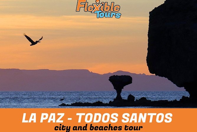 La Paz and Todos Santos City and Beaches Tour - Customer Reviews