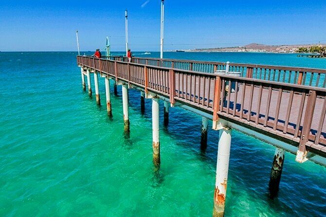 La Paz and Todos Santos Day Trip with Lunch - Who Will Love This Tour?