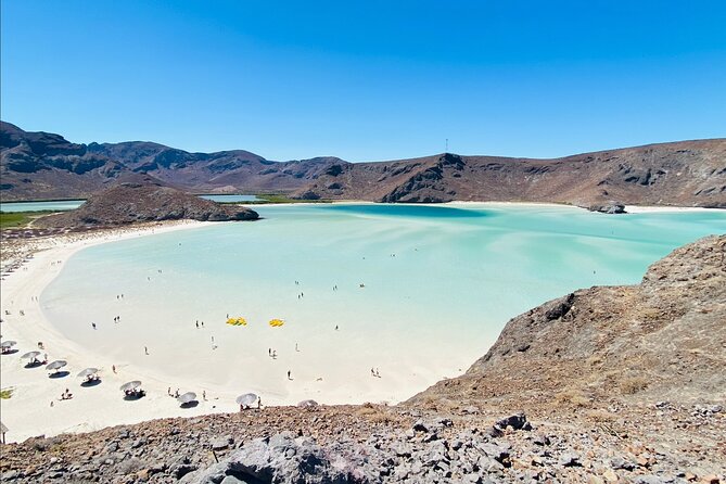 La Paz, Balandra, and Todos Santos From Cabo and San Jose - Customer Reviews Breakdown