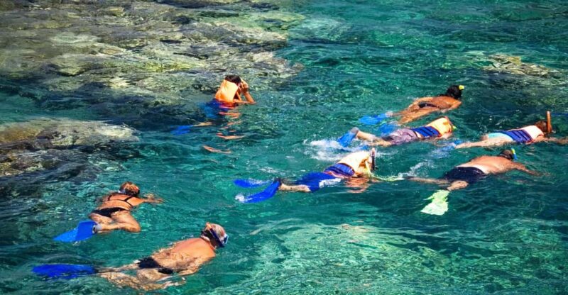 La Paz: Coral Farm Snorkel Tour - Snorkeling Equipment