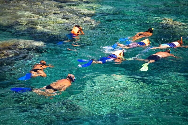 La Paz: Coral Farm Snorkel Tour - Participant Suitability