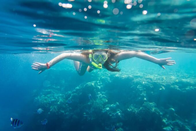 La Paz: Coral Farm Snorkel Tour - Inclusions and Exclusions