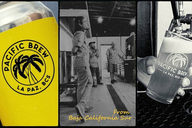 La Paz Cruisers: Craft Beer Tour with Tastings and Ceviche - Tasting and Food Pairing