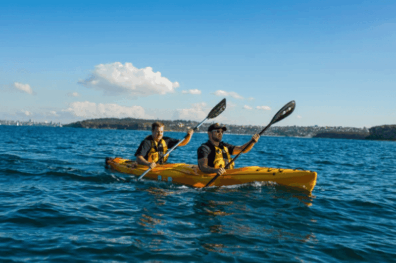 La Paz: Double Kayak Rental - Key Points