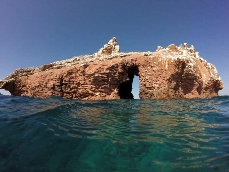 La Paz: Espíritu Santo Island Snorkeling Tour with Lunch - Introduction to the Espíritu Santo Island Snorkeling Tour