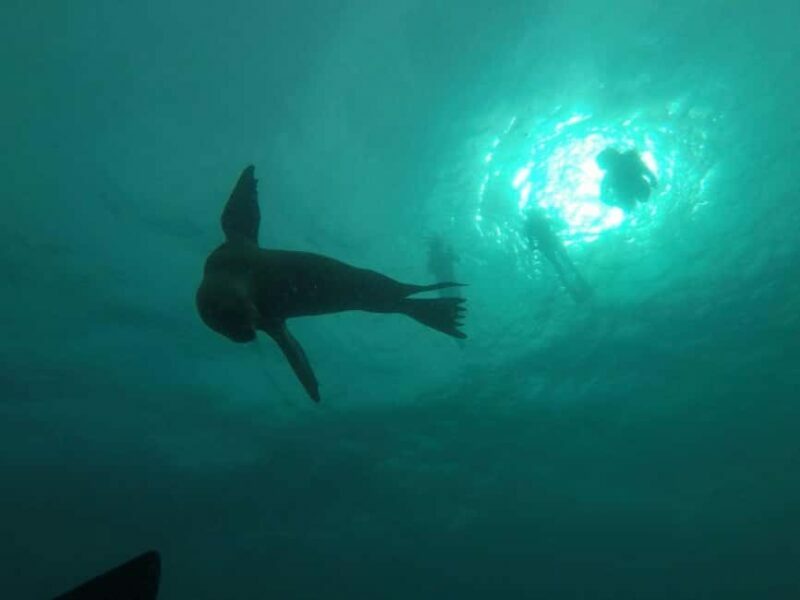 La Paz: Espíritu Santo Island Snorkeling Tour with Lunch - Breakdown of the Itinerary